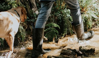 Walking
